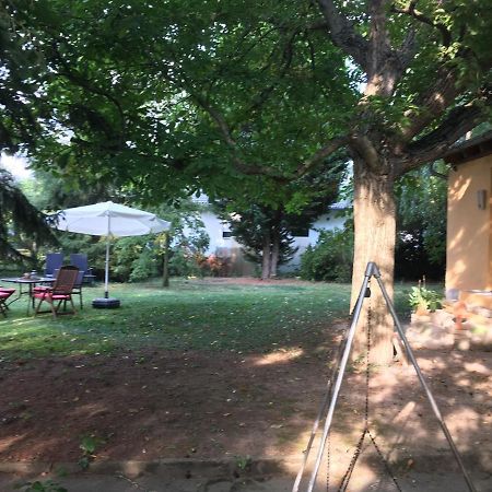 פלונהיים Biggi'S Garten-Finca מראה חיצוני תמונה